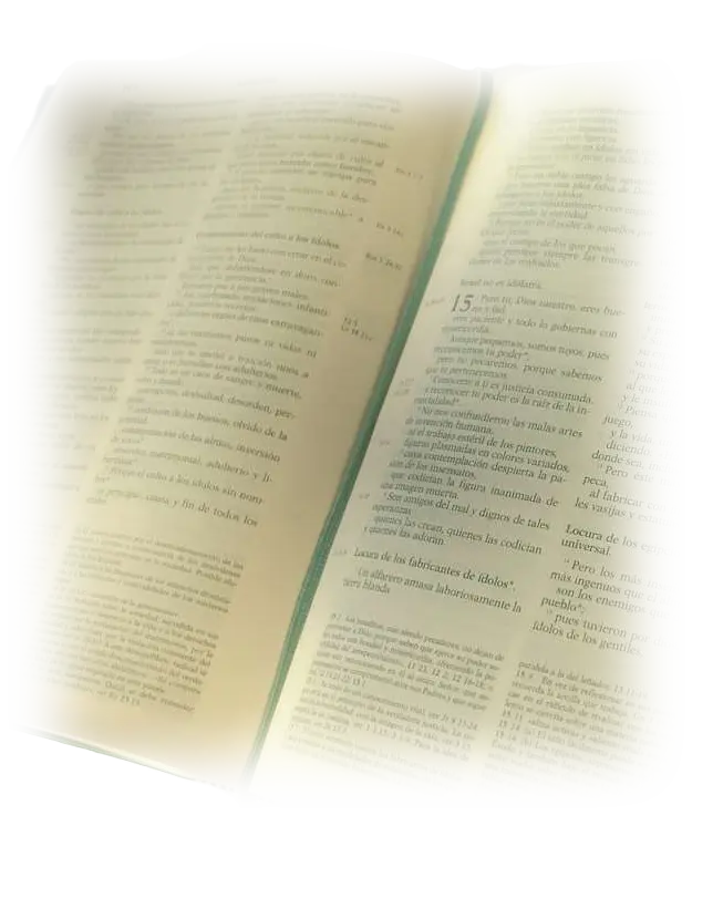 Bible pages